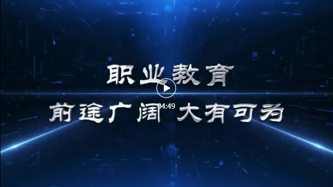 视频：党的十八大以来职业教育改革发展成效